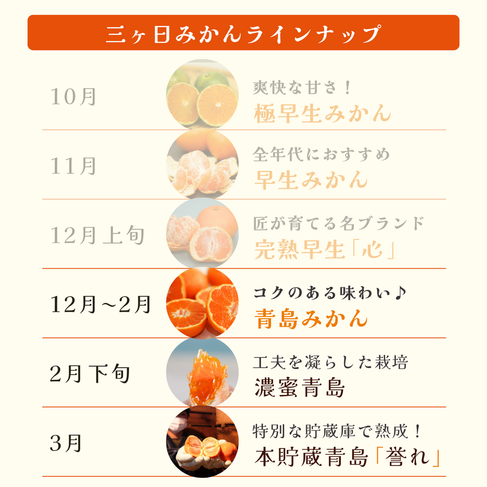 三ヶ日みかんの魅力
