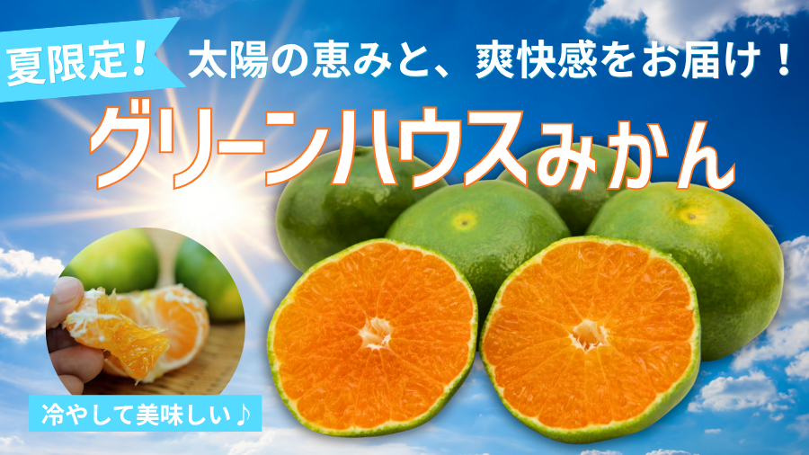 グリーンハウスみかん