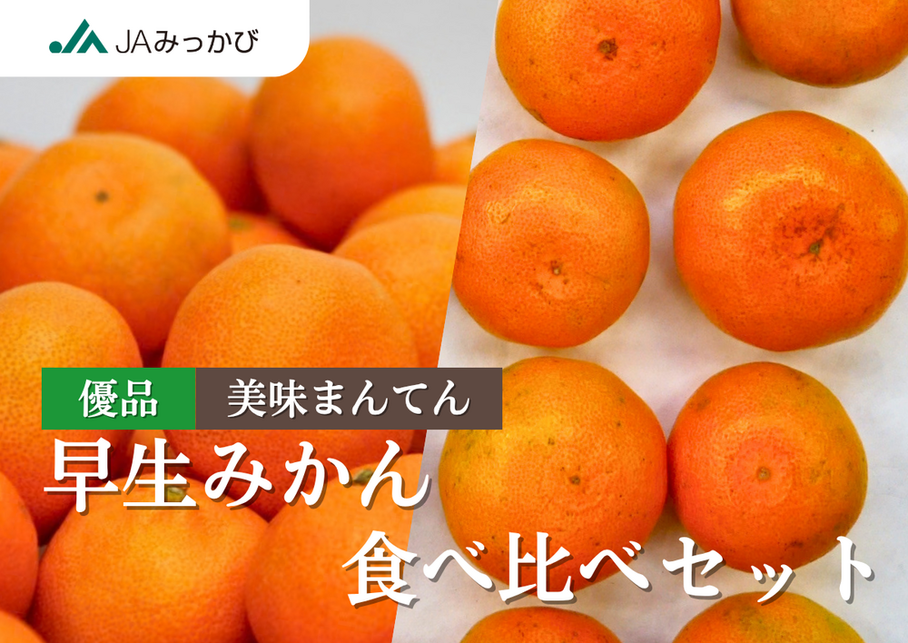早生みかん食べ比べセット