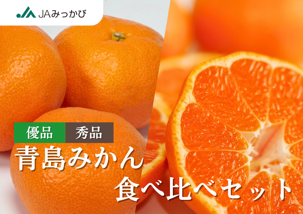青島みかん食べ比べセット
