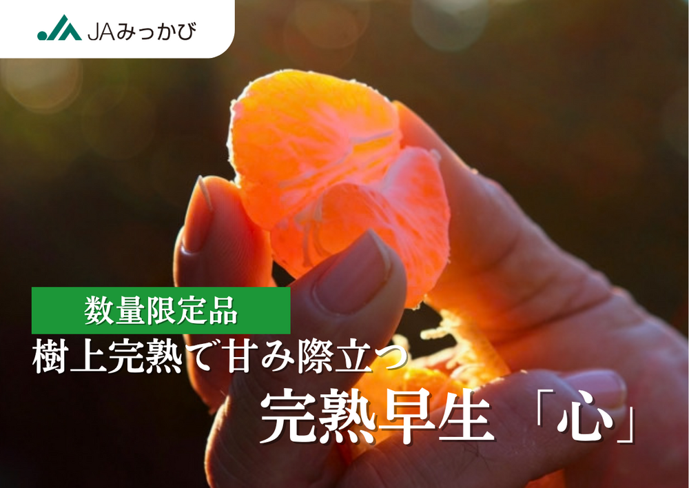 完熟早生「心」