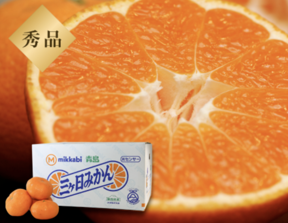 秀品 青島みかん