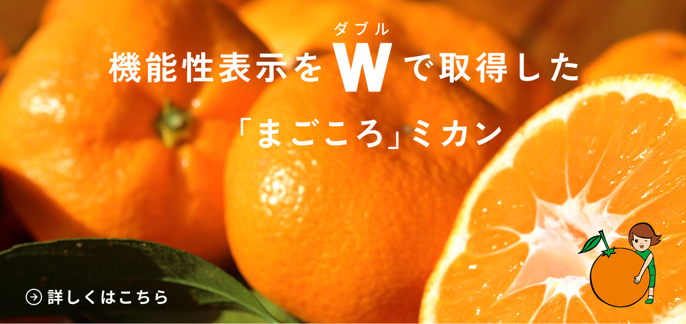 みかん 商品一覧 三ヶ日みかん
