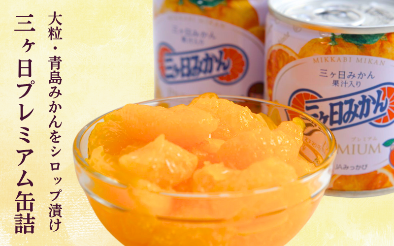 三ヶ日みかんプレミアム缶詰