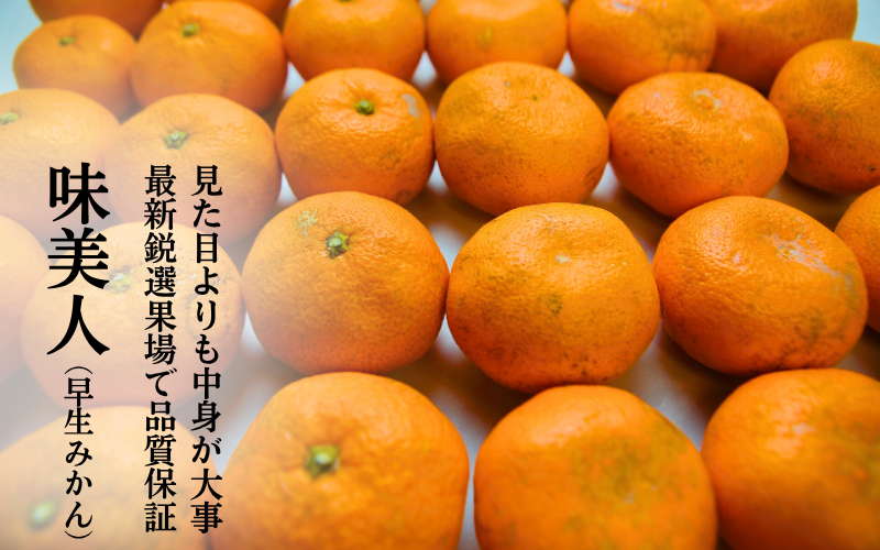 味美人（早生みかん） 