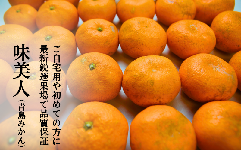 味美人（青島みかん）