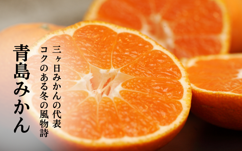 青島みかん【12月中旬~12月下旬発送】