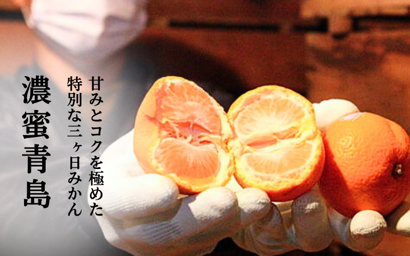 濃蜜青島【2/24頃～2/27頃　入荷都度、注文順に発送】