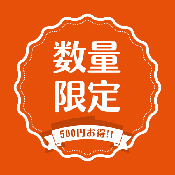 Mikan　フォロー割 特別クーポン対象】青島みかん オススメ品 | 三ヶ日みかんの通販