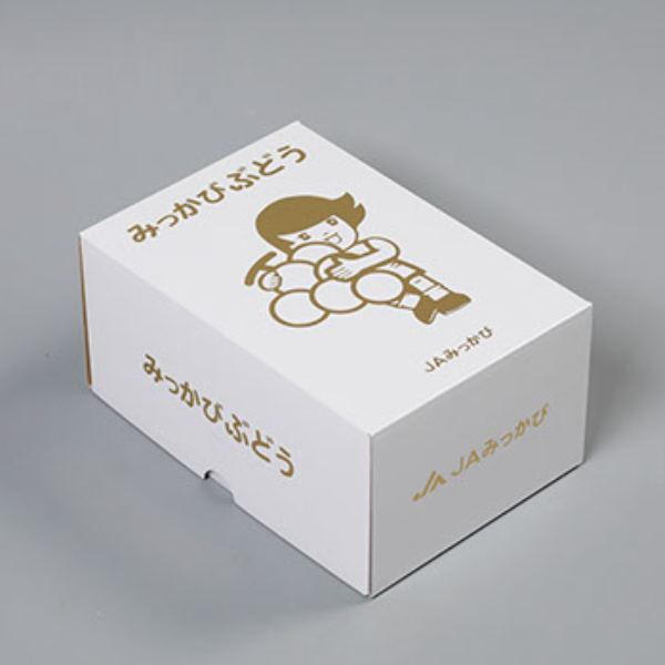 三ヶ日産シャインマスカット | 三ヶ日みかんの通販・ギフト購入ならJA