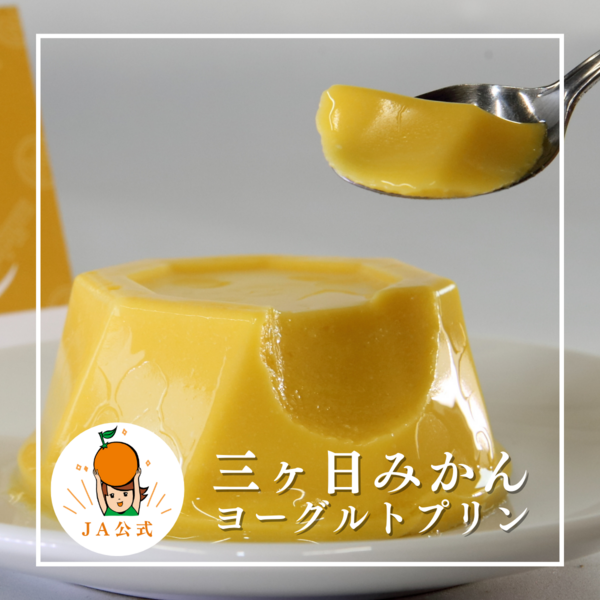 ギフトセット クレマチス | 三ヶ日みかんの通販・ギフト購入ならJAみっ