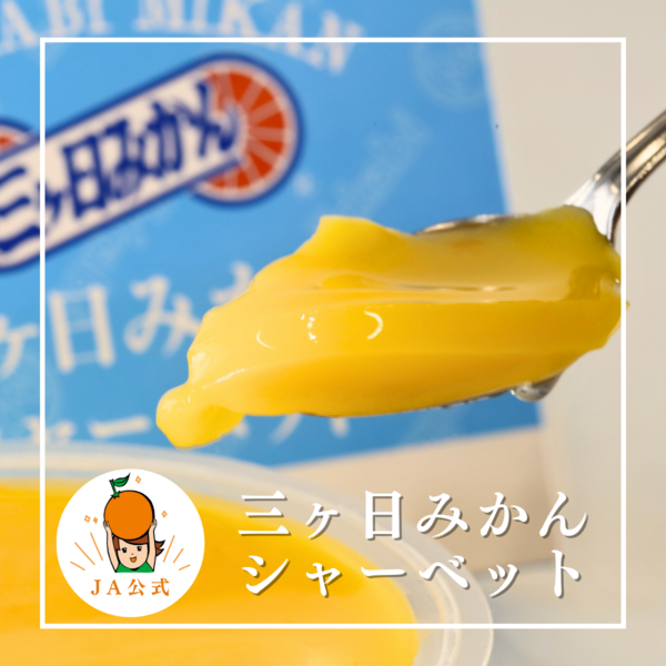 ギフトセット クレマチス | 三ヶ日みかんの通販・ギフト購入ならJAみっ