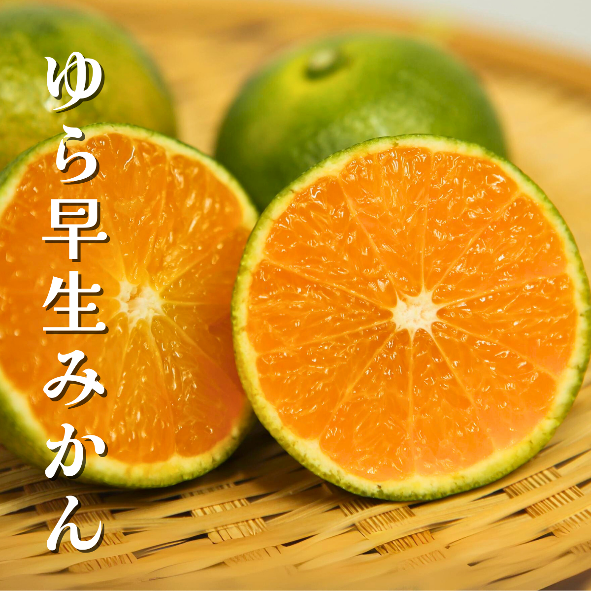 ゆら早生.png
