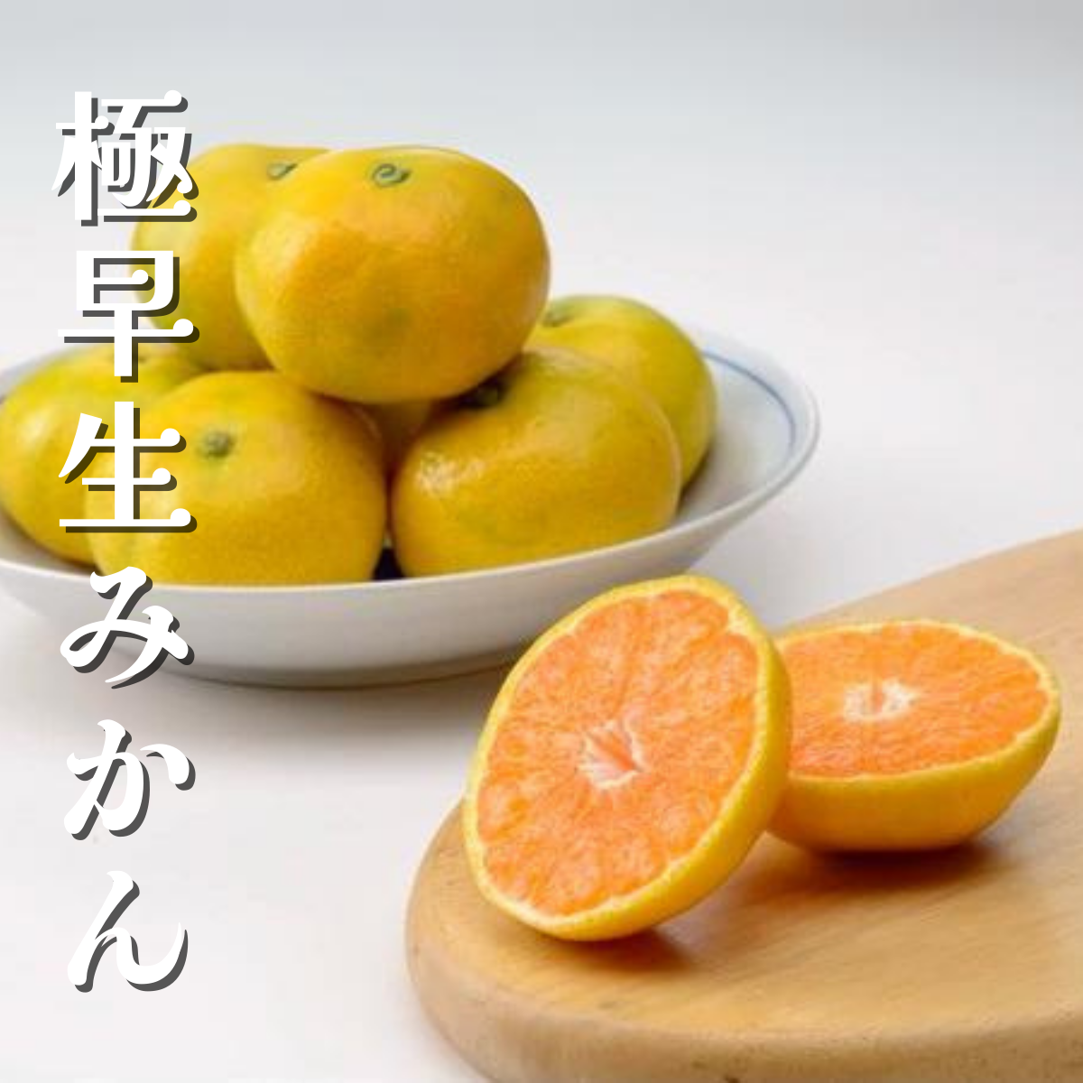 極早生_1_.png