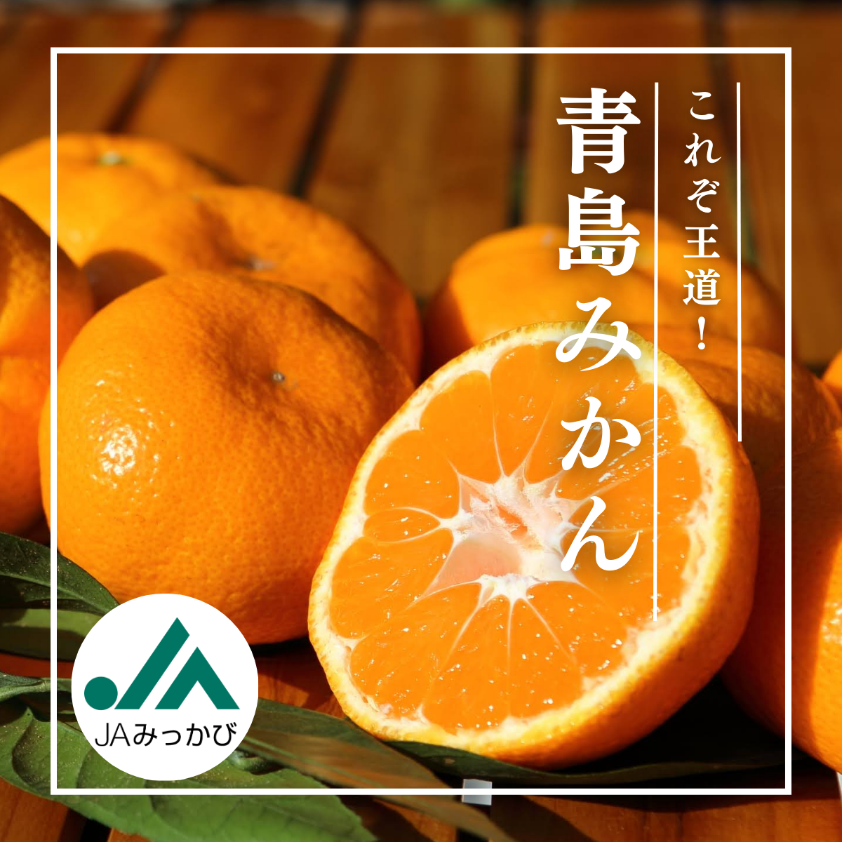 修正_-_青島.png