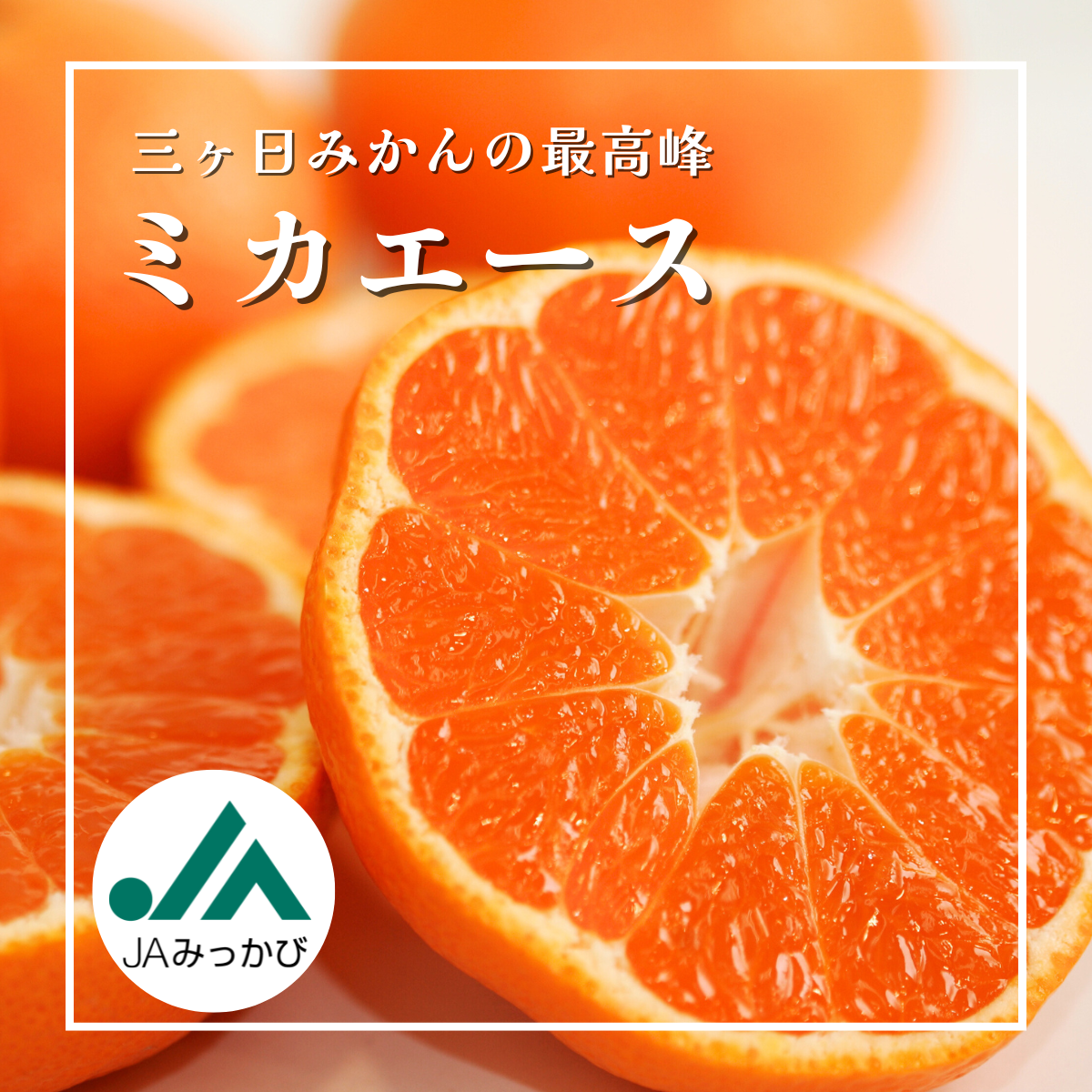 ミカエース.png