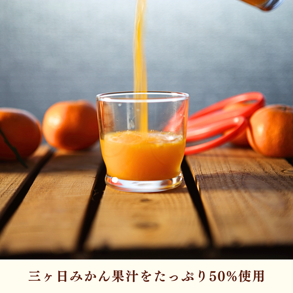 三ヶ日みかん粒入りドリンク | 三ヶ日みかんの通販・ギフト購入ならJA