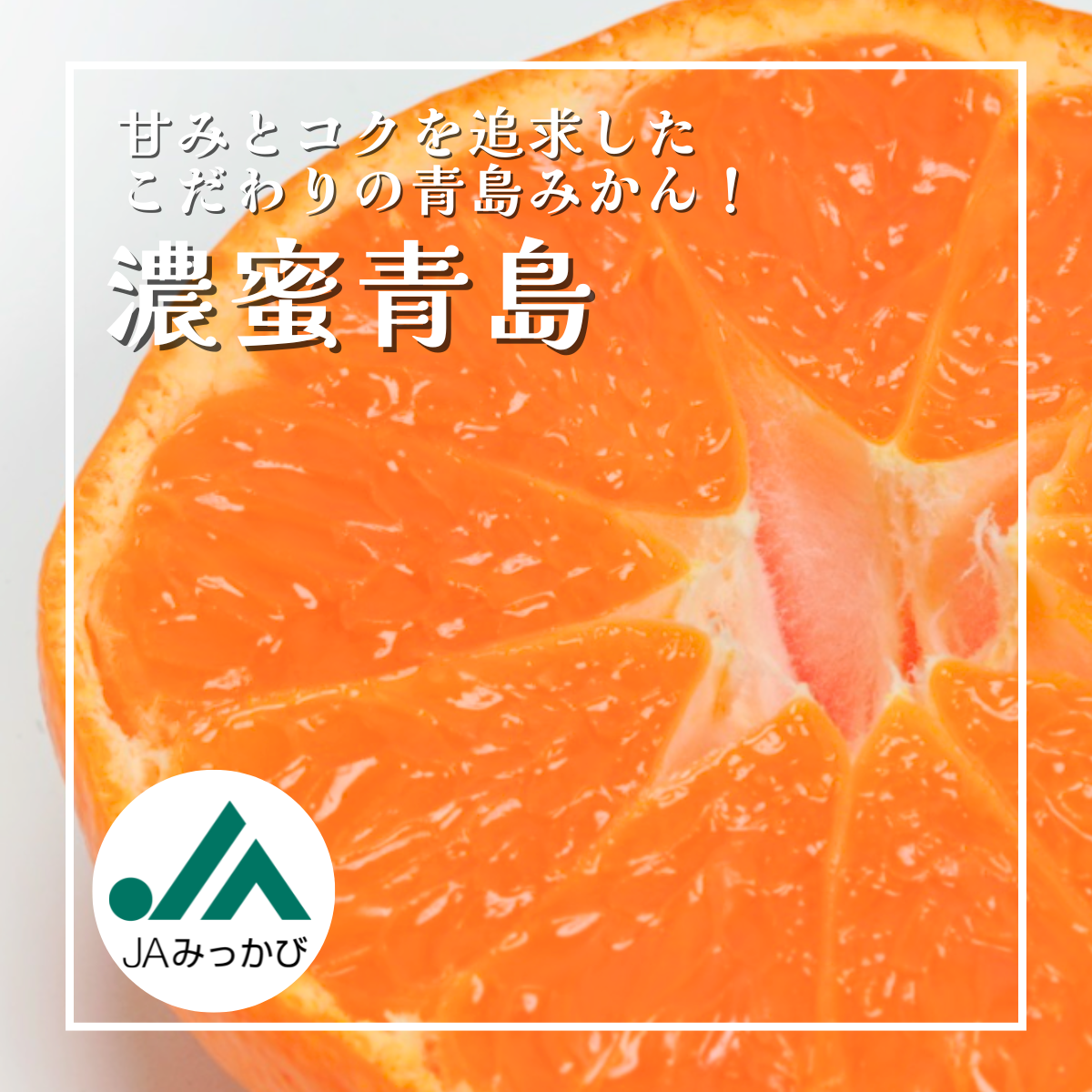 濃蜜青島.png