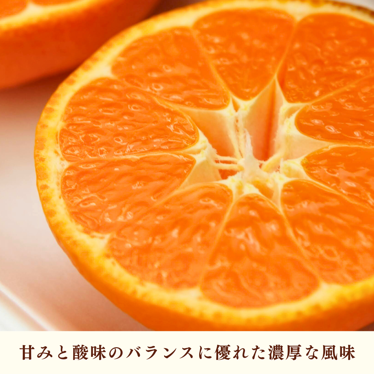寿太郎みかんの商品画像 2