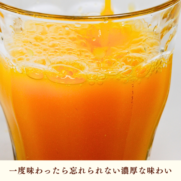 純しぼり「極」 | 三ヶ日みかんの通販・ギフト購入ならJAみっかび公式