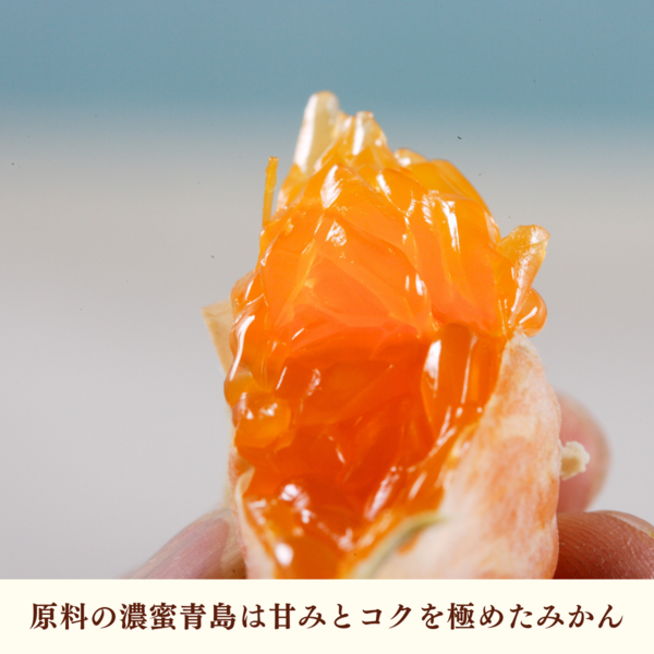 純しぼり「極」 | お歳暮・冬ギフトなら三ヶ日みかん！JAみっ