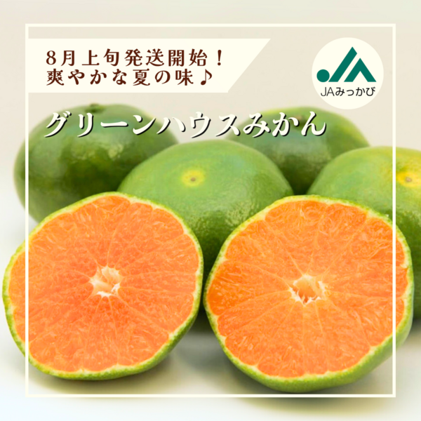グリーンハウスみかん | 三ヶ日みかんの通販・ギフト購入ならJAみっ