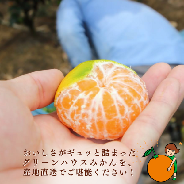 グリーンハウスみかん | 三ヶ日みかんの通販・ギフト購入ならJAみっ