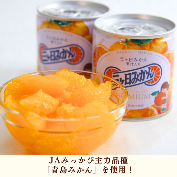 三ヶ日みかんプレミアム缶詰 | 三ヶ日みかんの通販・ギフト購入ならJA