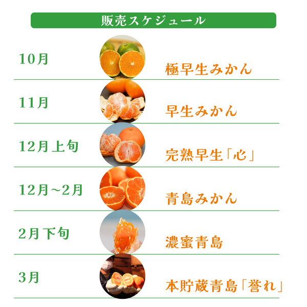 ゆら♪ ゆら早生みかん【サイズおまかせ 極早生みかん】 | 三ヶ日みかんの通販