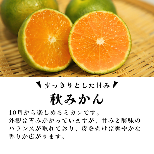 北原早生みかん【サイズおまかせ 早早生みかん】 | 三ヶ日みかんの通販