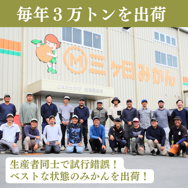 早生みかん【11月中旬~12月上旬発送】 | 三ヶ日みかんの通販・ギフト