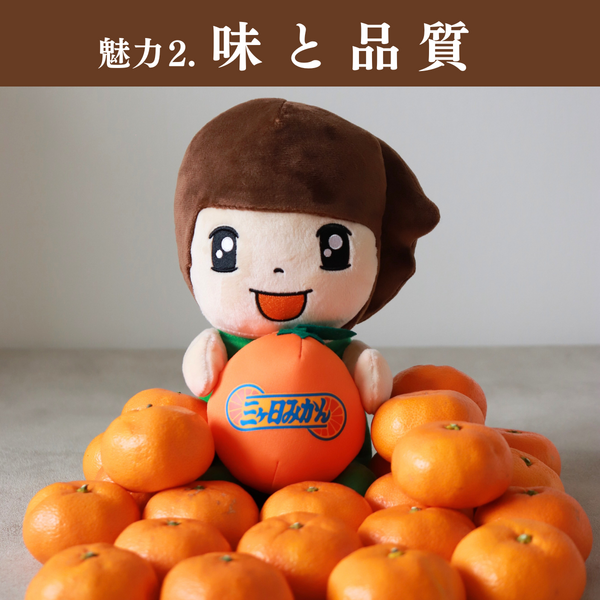 青島みかん【2026年 1/5頃〜2/13頃 入荷都度注文順に発送】 | 三ヶ日