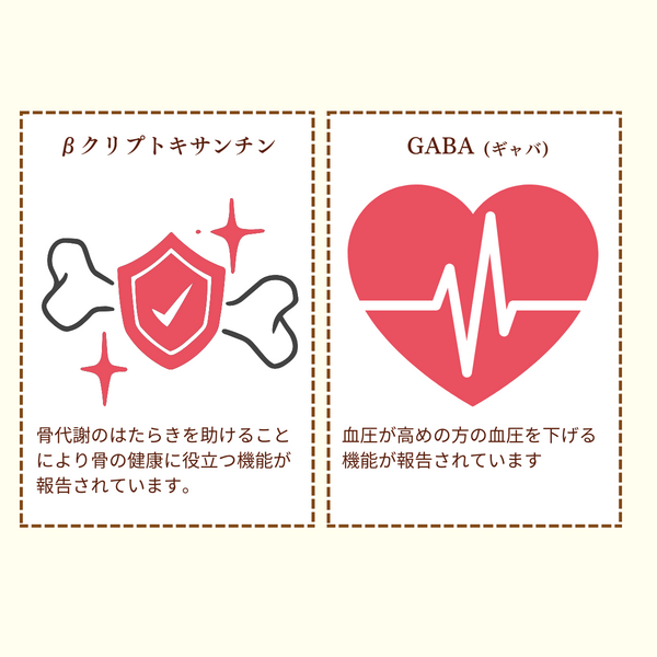 青島みかん【2026年 1/5頃〜2/16頃 入荷都度注文順に発送】 | 三ヶ日