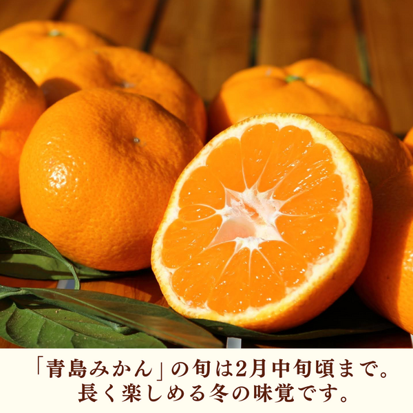 みかん みかん 早生みかん 秀品 Lサイズ 8kg JAみっかび 産地直送 三ヶ日