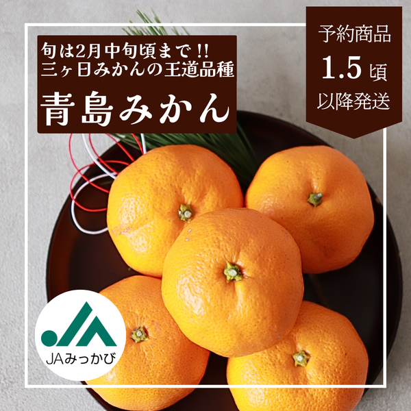 青島みかん【2026年 1/5頃〜2/13頃 入荷都度注文順に発送】 | 三ヶ日