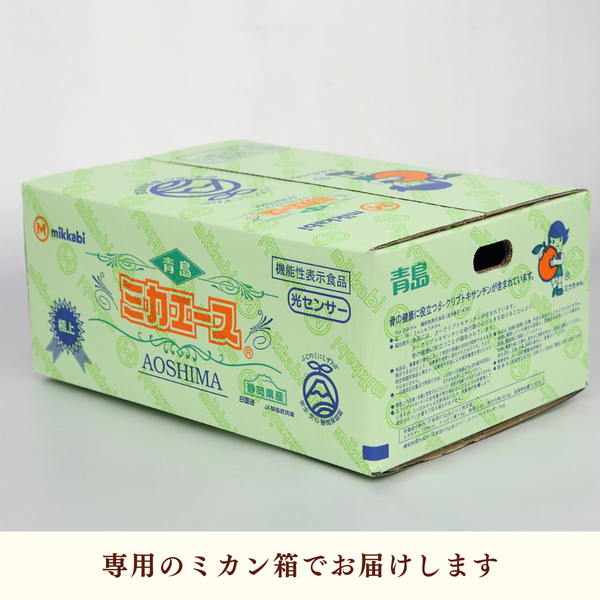 青島みかん ミカエース【1/6頃〜2/6頃 入荷都度、ご注文順に発送
