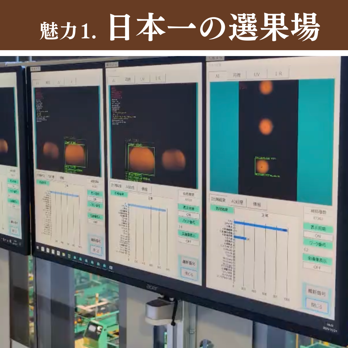 味美人（青島みかん）の商品画像 7