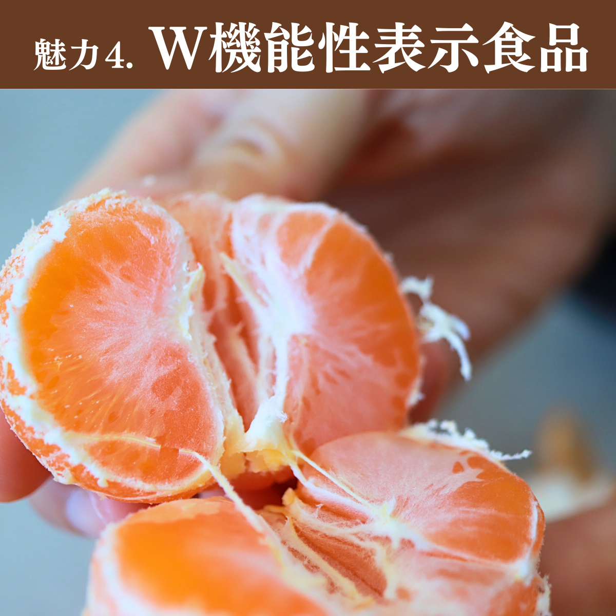 味美人（青島みかん）の商品画像 18