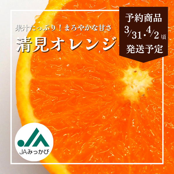 清見オレンジ【3/31・4/2頃発送予定】 | 三ヶ日みかんの通販・ギフト