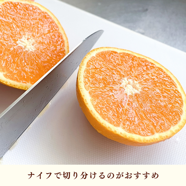 清見オレンジ【3/31・4/2頃発送予定】 | 三ヶ日みかんの通販・ギフト