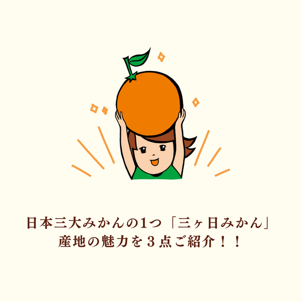 清見オレンジ【3/31・4/2頃発送予定】 | 三ヶ日みかんの通販・ギフト
