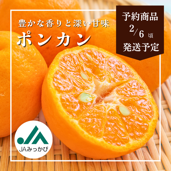 ポンカン【2/6頃 発送予定】 | 三ヶ日みかんの通販・ギフト購入ならJA