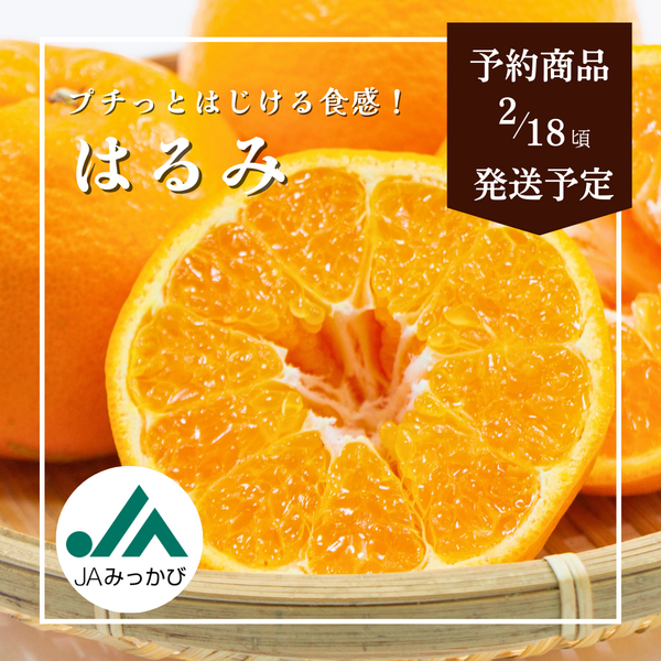 【言の葉】はるみ9Kg：はるみ4Kg　別所送り分 はるみ バラ詰め 4kg ／ ミカン みかん 蜜柑 柑橘類 はるみ 4kg 先行