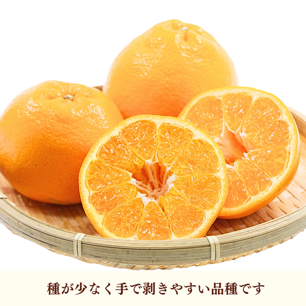 みっきーさん専用！！☆せとだ　はるみ☆15キロ(箱込み)　家庭用 はるみ 2kg 8個～12個入【ご家庭用】【みかん】【めっけもん広場