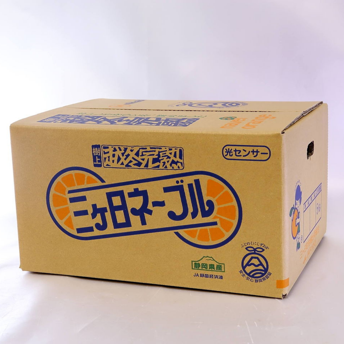 ネーブル【3/3・3/4頃 発送予定】の商品画像 5
