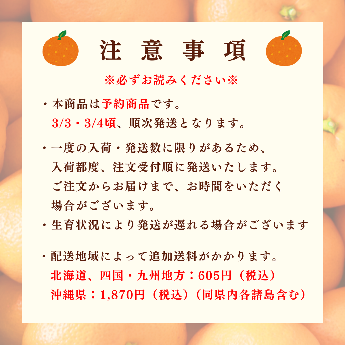 ネーブル【3/3・3/4頃 発送予定】の商品画像 6