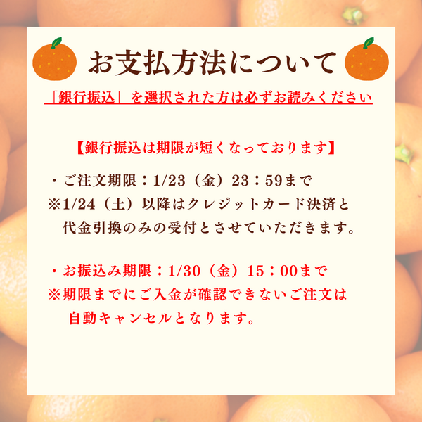 ミイ○即購入可ページ 青島みかん ミカエース【1/6頃〜2/6頃 入荷都度、ご注文順に発送