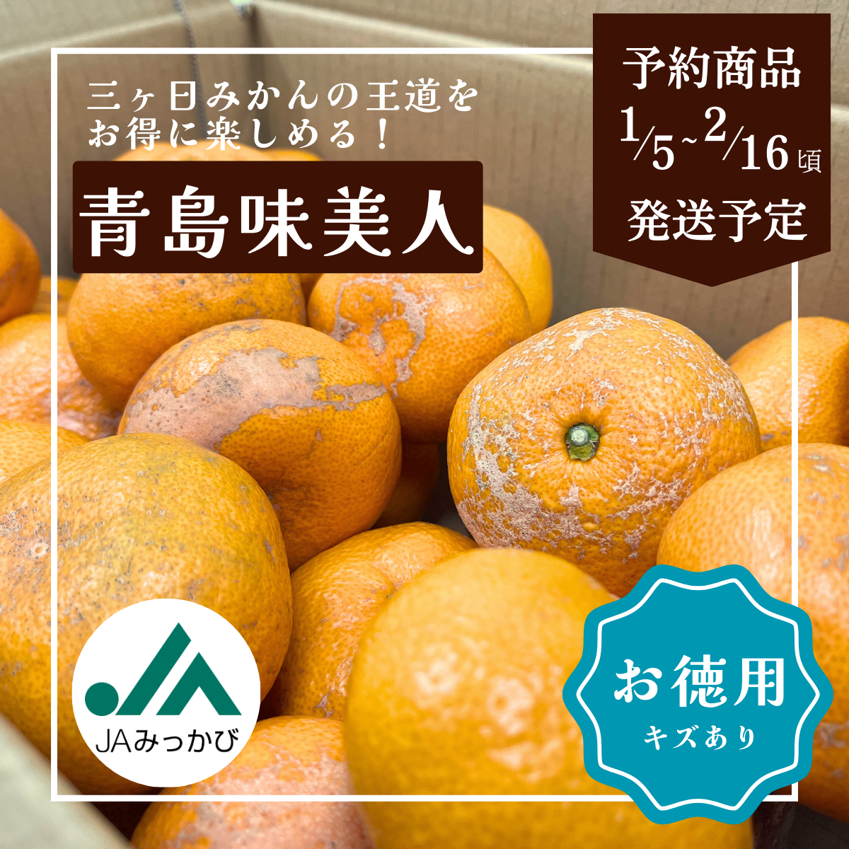 味美人（青島みかん）の商品画像 1