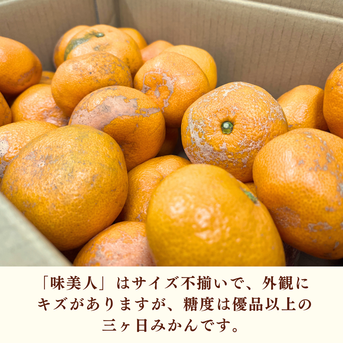 味美人（青島みかん）の商品画像 2
