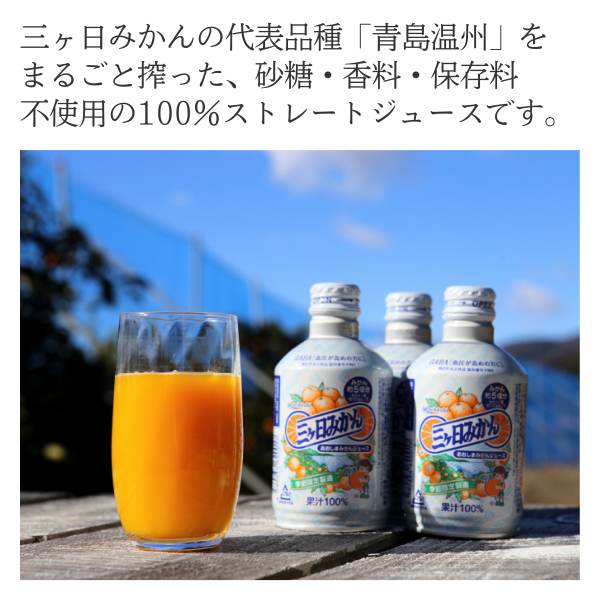 あおしまみかんジュース【数量限定～なくなり次第終了】 | 三ヶ日